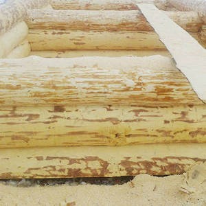 Выбор древесины для строительства дома
