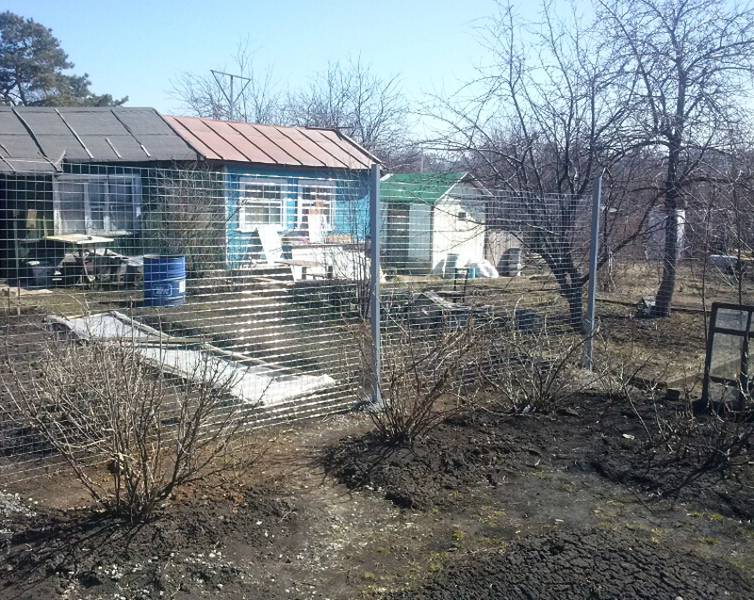 Заборная сетка
