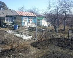 Заборная сетка